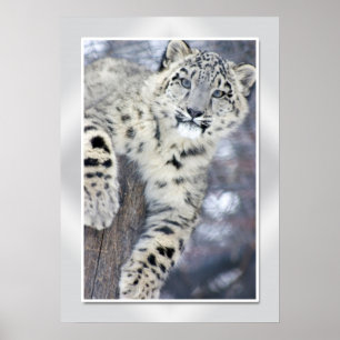 ハキンのまわりに....(w/縁ど) ポスター