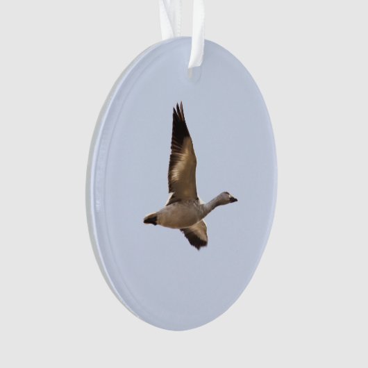 ハクガン オーナメント (正面)