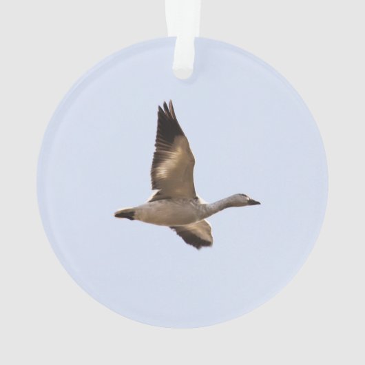 ハクガン オーナメント (裏面)