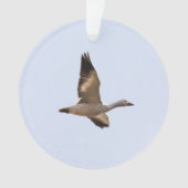 ハクガン オーナメント (正面)