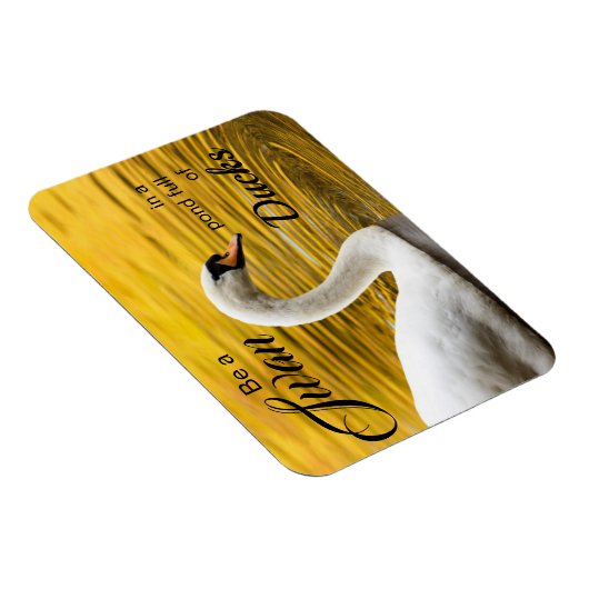 ハクチョウ美しい感動的引用文 マグネット (右側)