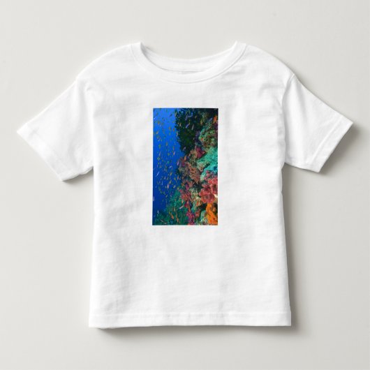 ハクテンハナバス(ハナバス属 トドラーTシャツ (正面)
