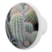 ハクトウカ ceramicsの引き セラミックノブ (右)