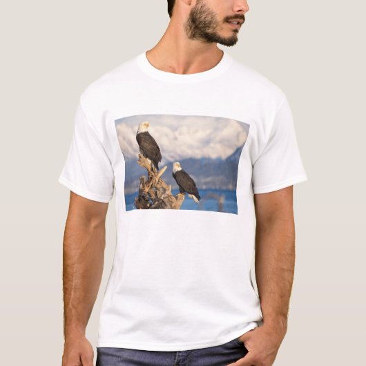 ハクトウワシのつがい Tシャツ (正面)