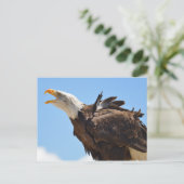 ハクトウワシの肖像 ポストカード (スタンド正面)