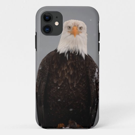 ハクトウワシの雪の中の肖像, Haliaeetus Case-Mate iPhoneケース (裏面)