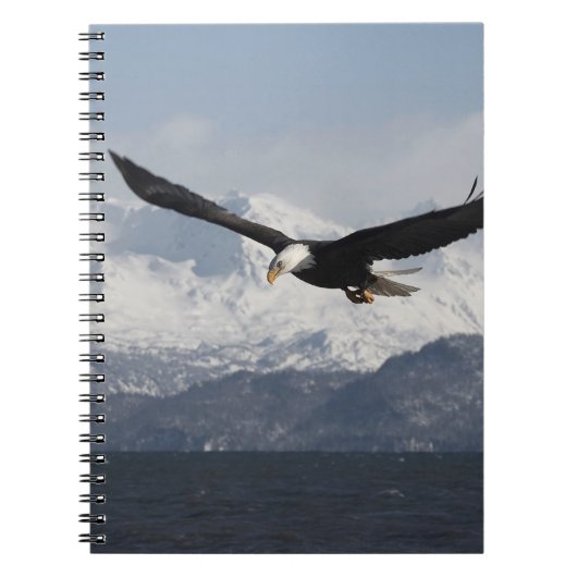 ハクトウワシの飛行, Haliaeetus leucocephalus, ノートブック (正面)