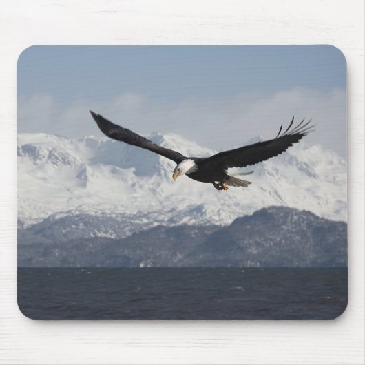 ハクトウワシの飛行, Haliaeetus leucocephalus, マウスパッド (正面)