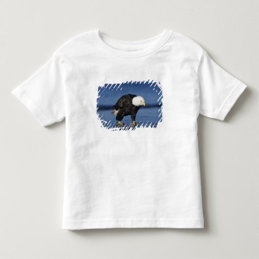 ハクトウワシ トドラーTシャツ (正面)