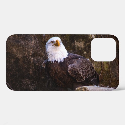 ハクトウワシ Case-Mate iPhoneケース (裏面 (横))
