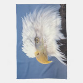 ハクトウワシ, Haliaeetus leuccocephalus, キッチンタオル (縦)