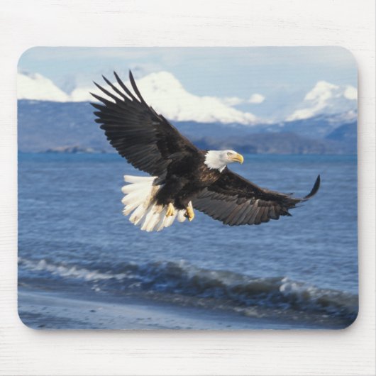 ハクトウワシ Haliaeetus leuccocephalus 飛翔 マウスパッド (正面)