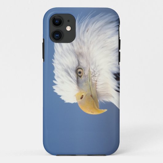 ハクトウワシ, Haliaeetus leuccocephalus, Case-Mate iPhoneケース (裏面)