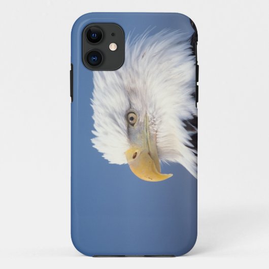 ハクトウワシ, Haliaeetus leuccocephalus, Case-Mate iPhoneケース (裏面)