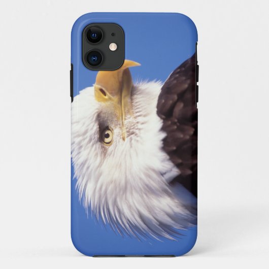 ハクトウワシ, Haliaeetus leucocephalus, クローズアップ, 3 Case-Mate iPhoneケース (裏面)