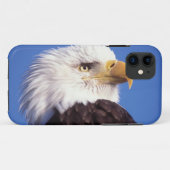 ハクトウワシ, Haliaeetus leucocephalus, クローズアップ, 3 Case-Mate iPhoneケース (裏面(横))