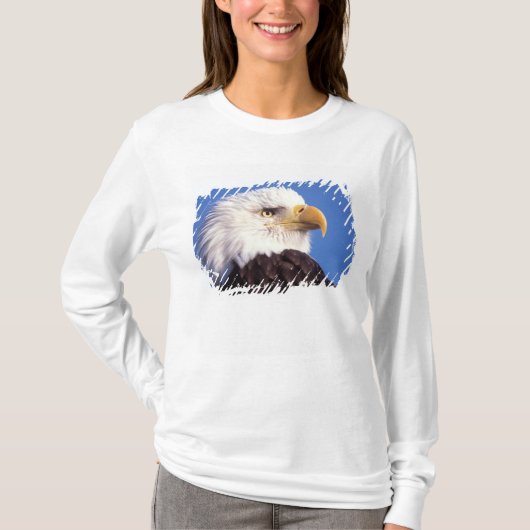 ハクトウワシ, Haliaeetus leucocephalus, クローズアップ, 3 Tシャツ (正面)
