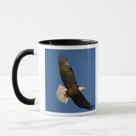 ハクトウワシ, Haliaeetus leucocephalus, ホーマー, マグカップ (左)
