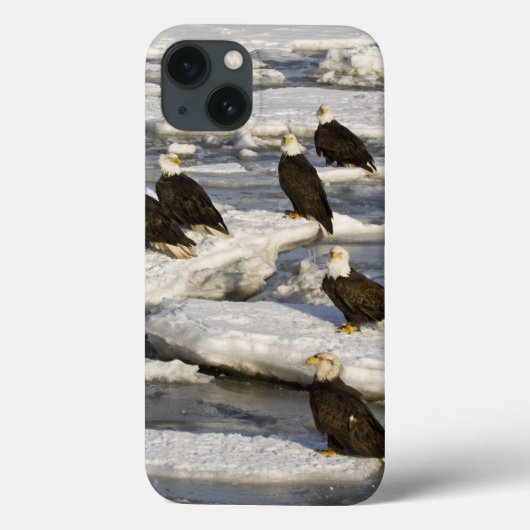 ハクトウワシ, Haliaeetus leucocephalus, ホーマー, 2 Case-Mate iPhoneケース (裏面)