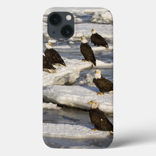 ハクトウワシ, Haliaeetus leucocephalus, ホーマー, 2 Case-Mate iPhoneケース (裏面)