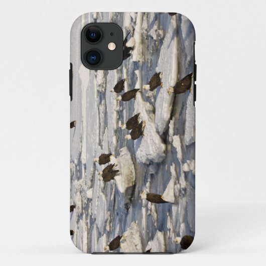 ハクトウワシ、Haliaeetus+leucocephalus、ホーマー、2 Case-Mate iPhoneケース (裏面)
