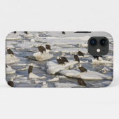 ハクトウワシ、Haliaeetus+leucocephalus、ホーマー、2 Case-Mate iPhoneケース (裏面(横))