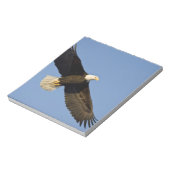 ハクトウワシ, Haliaeetus leucocephalus, ホーマー, 4 ノートパッド (回転)