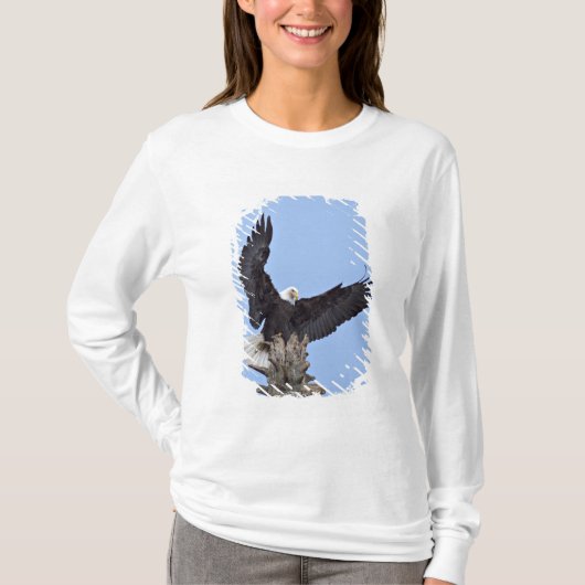 ハクトウワシ (Haliaeetus leucocephalus) 翼を広げて Tシャツ (正面)