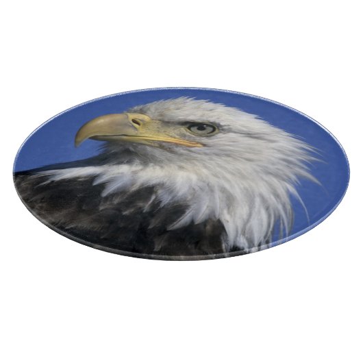 ハクトウワシ (Haliaeetus leucocephalus) 野生の カッティングボード (角)