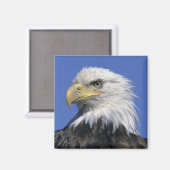 ハクトウワシ (Haliaeetus leucocephalus) 野生の マグネット (正面/裏面)