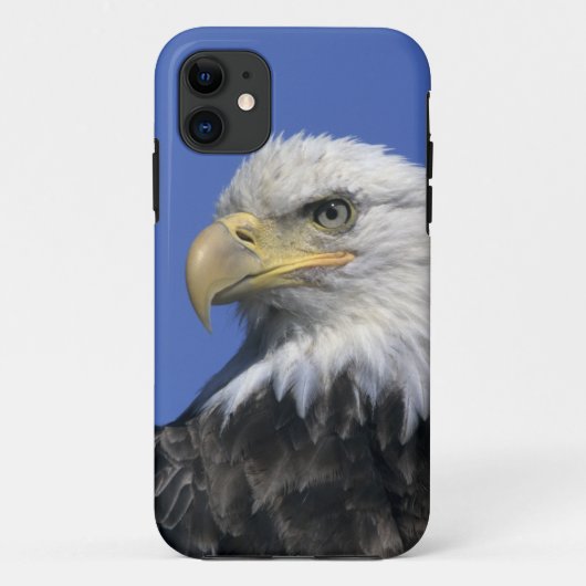 ハクトウワシ (Haliaeetus leucocephalus) 野生の Case-Mate iPhoneケース (裏面)