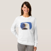 ハクトウワシ, Haliaeetus leucocephalus, 顔のアップショット, Tシャツ (正面フル)