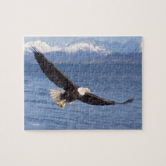ハクトウワシ、Haliaeetus leucocephalus、飛翔4 ジグソーパズル (横)