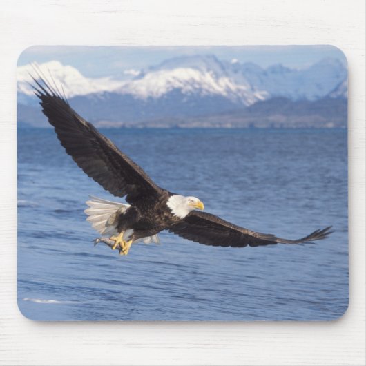 ハクトウワシ、Haliaeetus leucocephalus、飛翔4 マウスパッド (正面)
