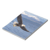 ハクトウワシ、Haliaeetus leucocephalus、飛行中 4 ノートパッド (回転)