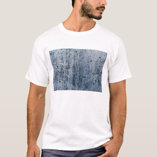 ハクトウワシ Tシャツ (正面)