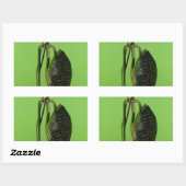 ハクナマタタケニアマサイ.JPG 長方形シール (シート)