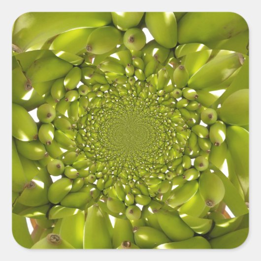 ハクナマタタゴングバナナ.jpg スクエアシール (正面)
