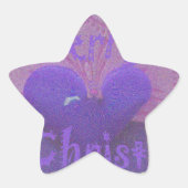 ハクナマタタメリークリスマスラブデザイン.jpg 星シール (正面)