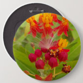 ハクナマタタ美しい緑の赤い黄色の花芽。 缶バッジ (正面&裏面)