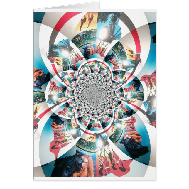 ハクナマタタ (正面)