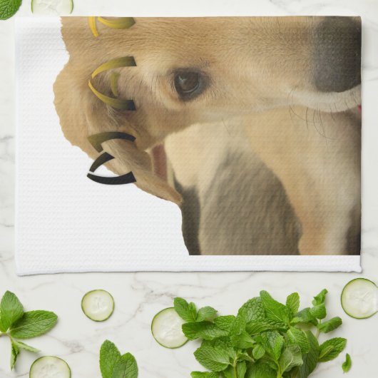 "ハクナマタパップ" – 心配のない子犬の愛 キッチンタオル (折り畳み)
