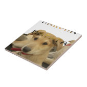 "ハクナマタパップ" – 心配のない子犬の愛 タイル (側面)