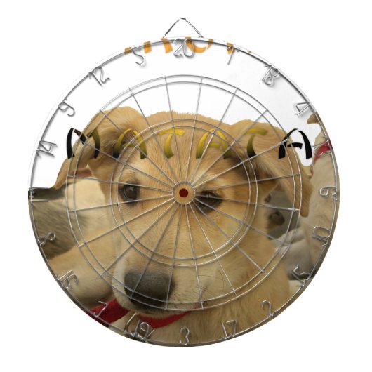 "ハクナマタパップ" – 心配のない子犬の愛 ダーツボード (正面)