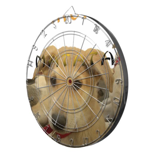 "ハクナマタパップ" – 心配のない子犬の愛 ダーツボード (正面右)