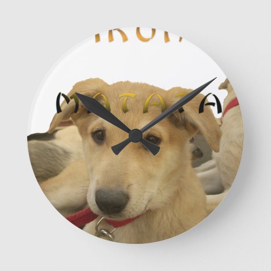 "ハクナマタパップ" – 心配のない子犬の愛 ラウンド壁時計 (正面)