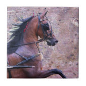 ハクニーグランジ タイル (正面)