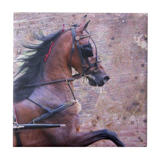 ハクニーグランジ タイル (正面)