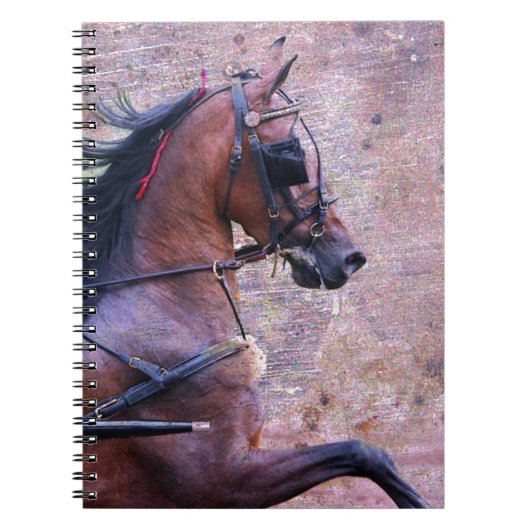 ハクニーグランジ ノートブック (正面)