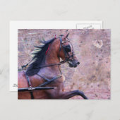 ハクニーグランジ ポストカード (正面/裏面)